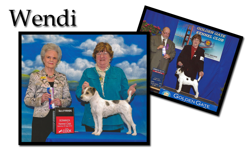 wendi
